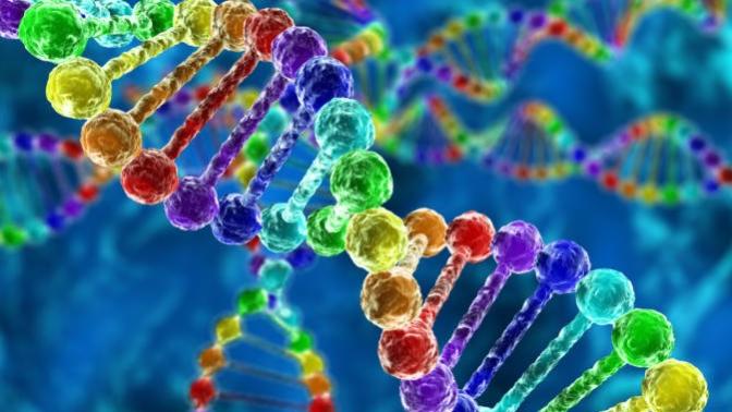 When it comes to the genetic lottery, do you consider yourself lucky or unlucky?