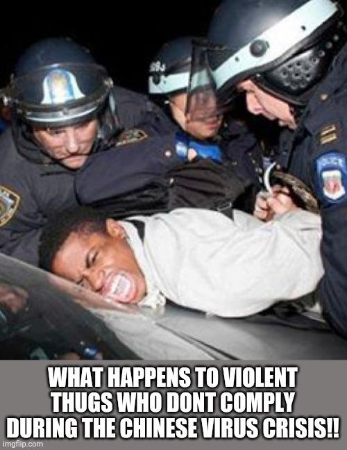 What punishment should Thugs who refuse to wear masks, compliy with social distancing and then resist arrest receive?