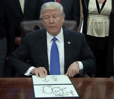 Trump cuts funding to the world health organization during a global pandemic?