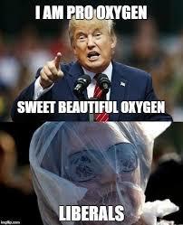 Why do so many people obsessed with Trump?