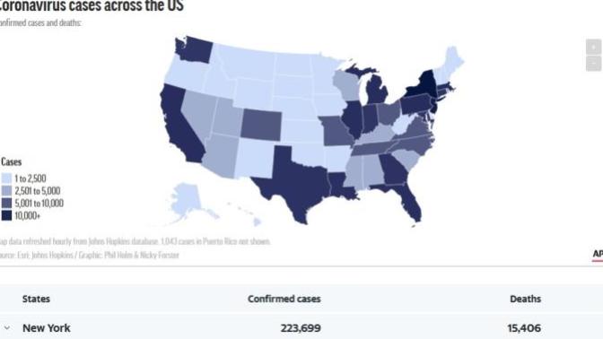 Who do you believe when you get the daily briefings about the deaths in your city and or state, your DULY ELECTED STATE OFFICIALS or TRUMP & CO?