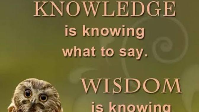What do you think is difference between Intelligence and Wisdom?