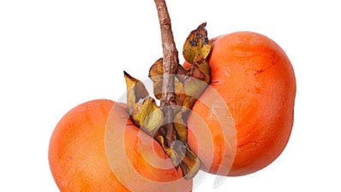 Why are testicles so sensitive and painful if impacted?