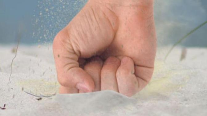 Did You Ever Tell Someone To Go Pound Sand?