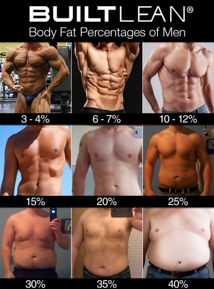 Girls, Judging from this chart, what body fat % do you prefer for guys?