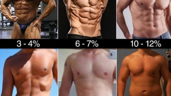 Girls, Judging from this chart, what body fat % do you prefer for guys?