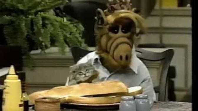 Anyone else have a strange obsession with ALF?