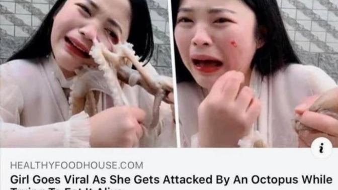 😄 Why do people eat live octopuses?