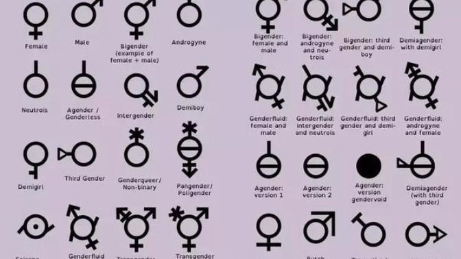 They are starting to teach children there are over 100 genders in school. Is this too far? Or even correct?