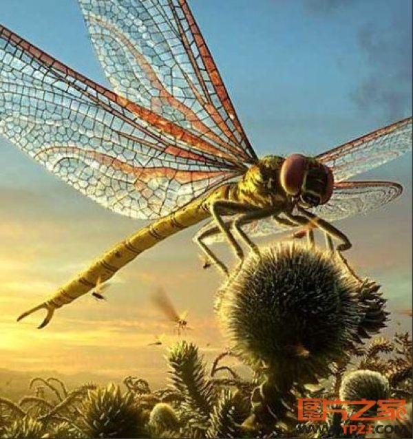 Are you worry if the planet gets much warmer, insects will get much bigger?