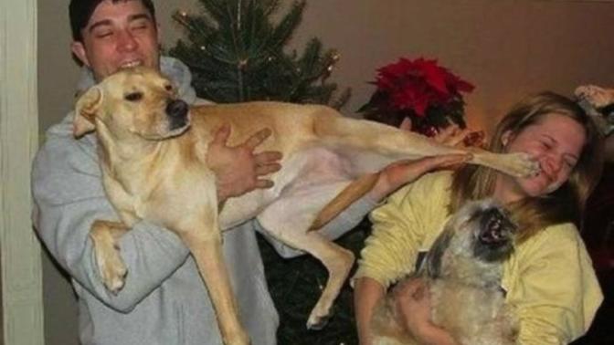 Have you ever started dating a new person and your pet doesn't like them?