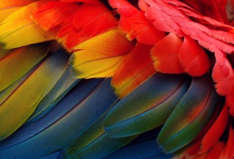 What is your favourite colour and would you like me to tell you its use or what it says about your personality?