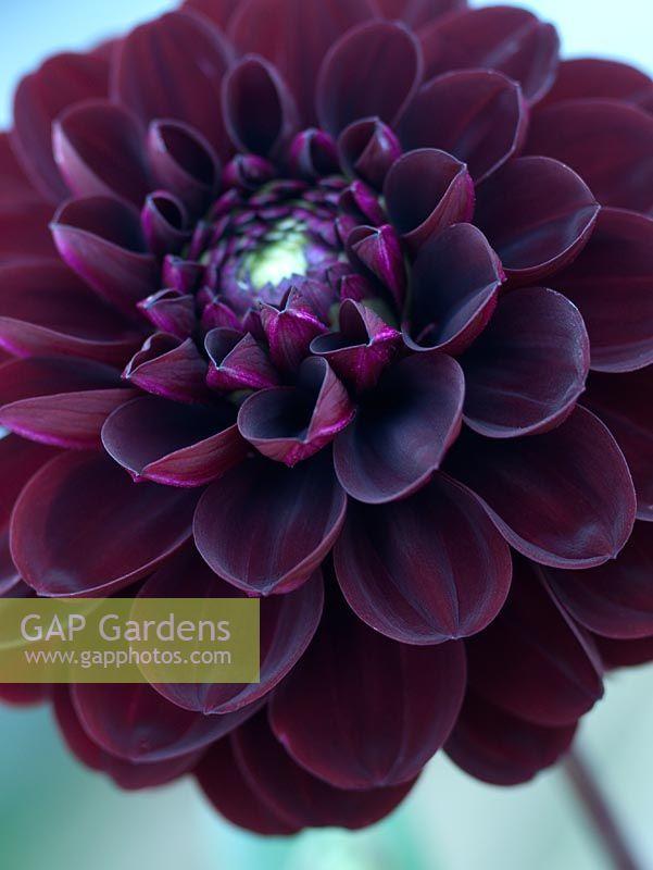What is your favourite colour and would you like me to tell you its use or what it says about your personality?