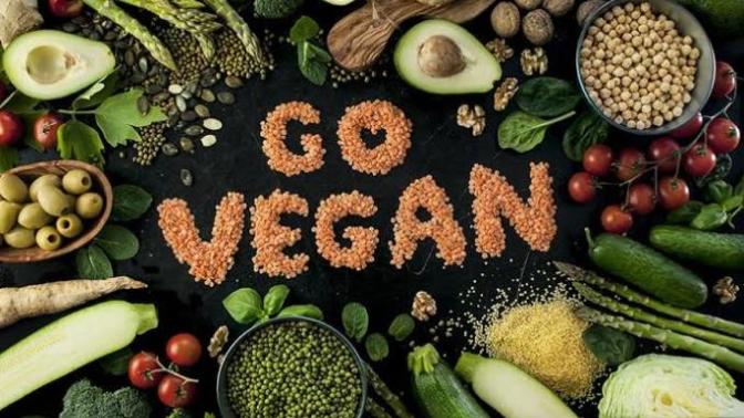 Should all people become vegan to make a better world?