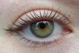 Guys and girls, what color of eyes are you most attracted to?
