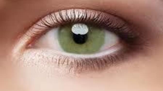 Guys and girls, what color of eyes are you most attracted to?
