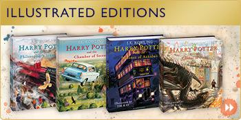 Do you need pictures to enjoy a book?