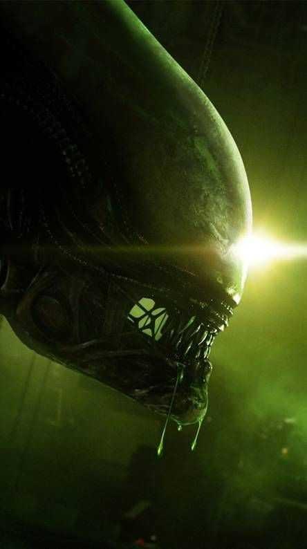 Alien or Predator?