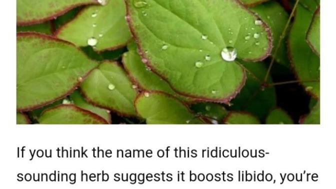Honey Goat Weed Supplements?