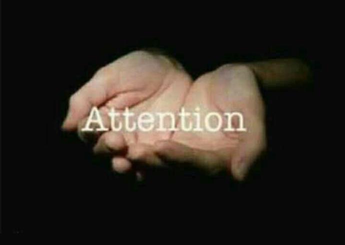 Would you give me some attention?