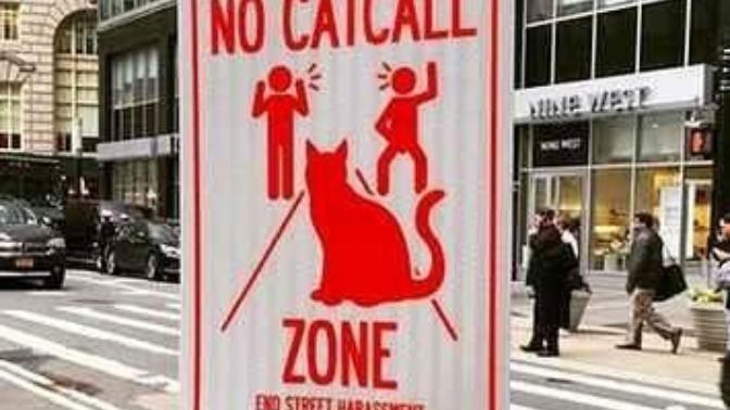 Have you ever harassed/catcalled someone who wears revealing clothes?