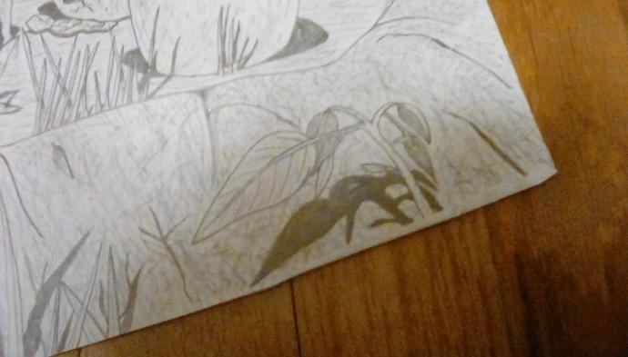WHat do you think of my art?