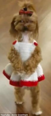 What are some cute things that are actually really sad?