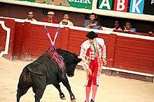 Should bullfighting be legal or illegal?