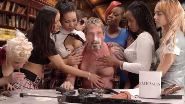 Would you vote John McAfee for President 2020?