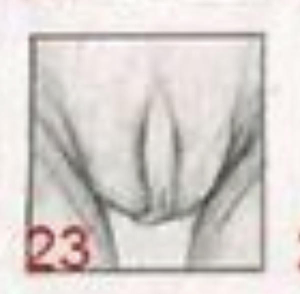 Guys, what do you think of this vulva type?