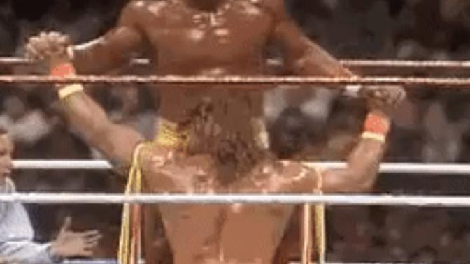 Are WWE fans closeted LGBTQ?