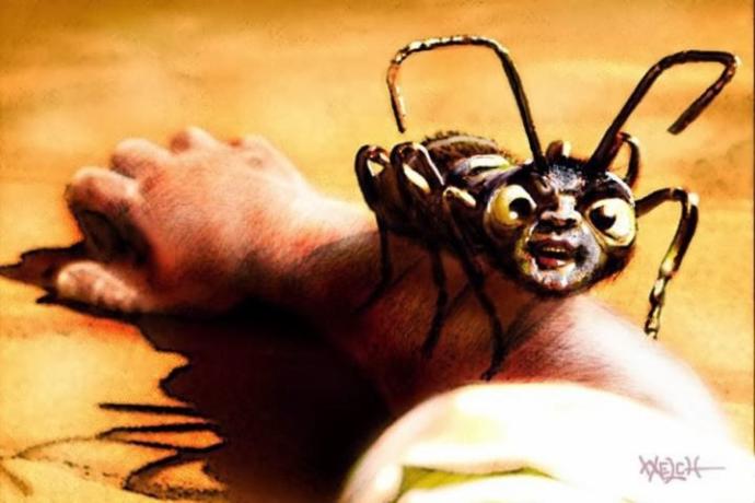 Do murder hornets deserve to exist?