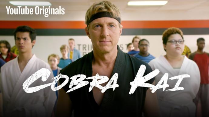 Cobra Kai is basically the Karate Kid story told realistically. Acting is top notch!
