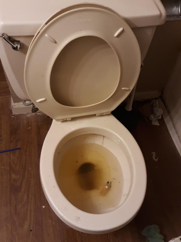Boys vs Girl on this question... what are your thoughts on the toilet seat? Up, down, or does it even pose an issue?
