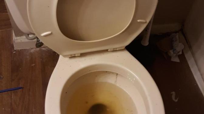 Boys vs Girl on this question... what are your thoughts on the toilet seat? Up, down, or does it even pose an issue?