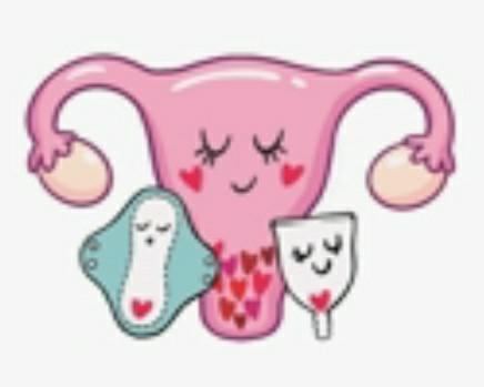 Ladies & Trans Men, What Is/Was Your Go To Menstrual Product? Which Are The Most Popular?