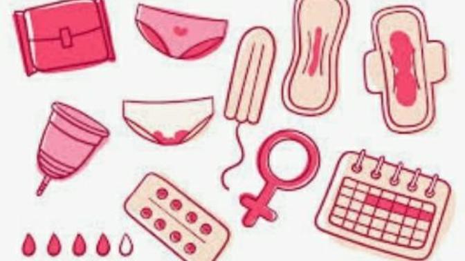 Ladies & Trans Men, What Is/Was Your Go To Menstrual Product? Which Are The Most Popular?