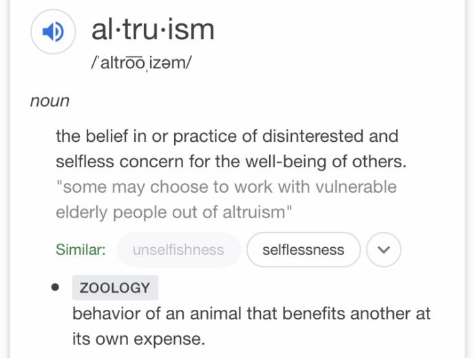 Is suicide a form of altruism?
