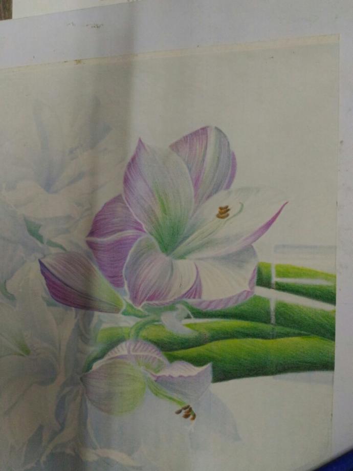 Do you know the name of the flower?