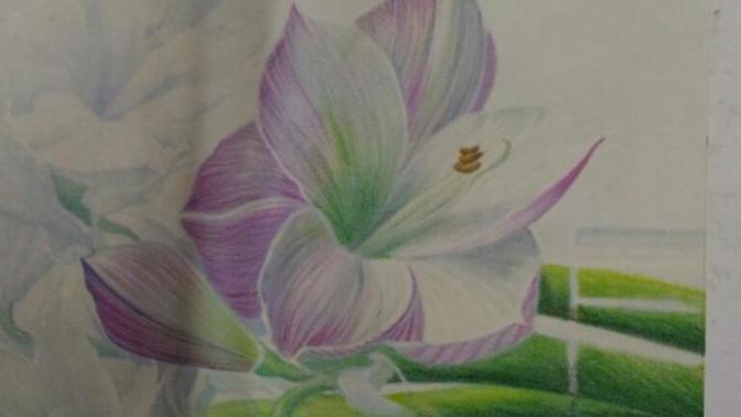 Do you know the name of the flower?