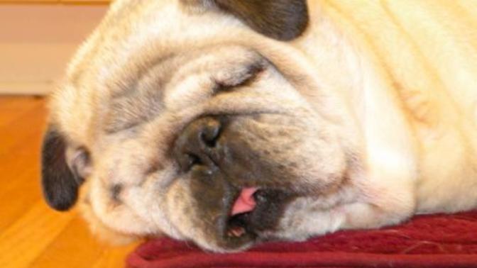 Where is the weirdest place you’ve fallen asleep?