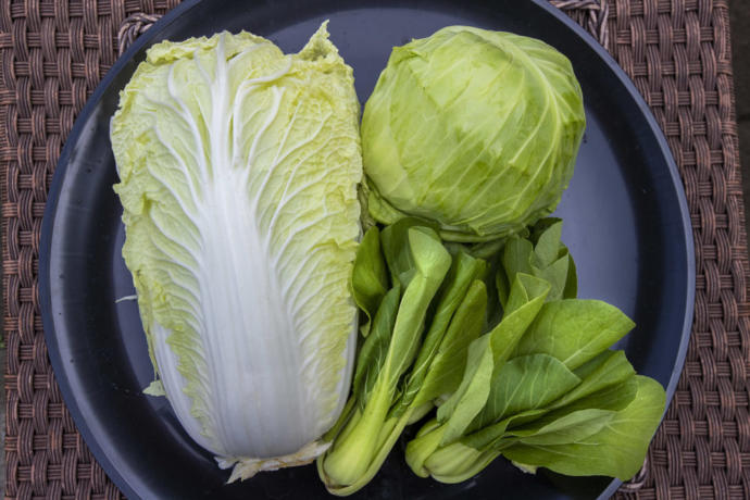 If Happiness Had A Scent, What Would It Smell Like To You?