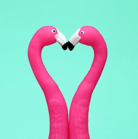 Are you in love right now?