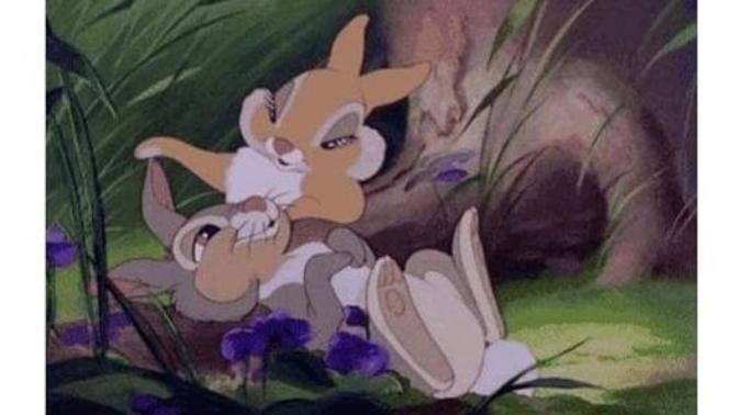 Caption this photo of smitten Thumper and his love interest Miss Bunny?