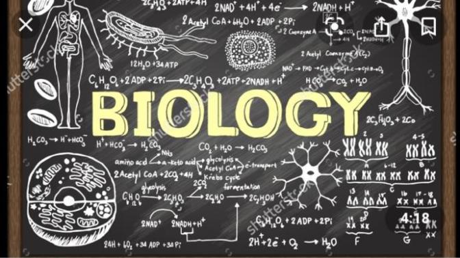 Anyone taking AP bio?