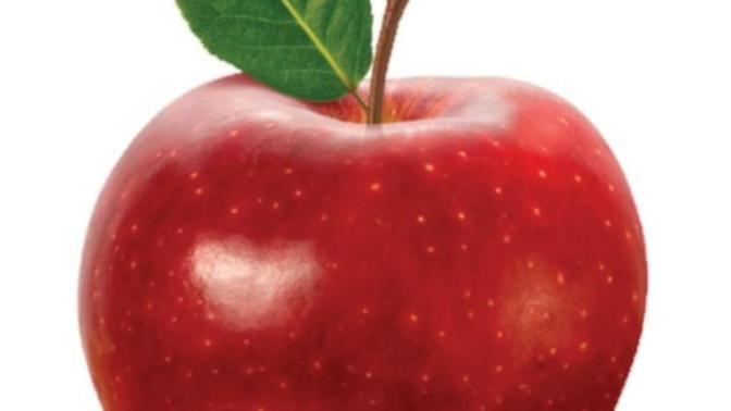 In the department a fruit what is your favorite?