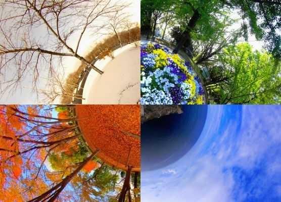 Why do you like winter very much? What is your favourite season? In your favourite season which country do you like to live?