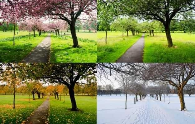 Why do you like winter very much? What is your favourite season? In your favourite season which country do you like to live?