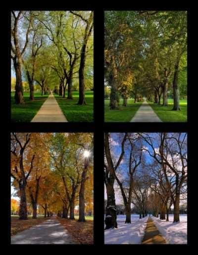 Why do you like winter very much? What is your favourite season? In your favourite season which country do you like to live?