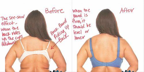 Is my bra size small, medium, or large for my size?